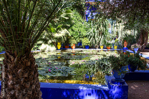 Flowers in the garden Majorelle, Morocco, Marrakech