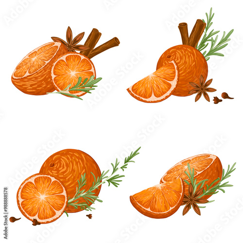 Star anise, cinnamon rolls, cloves, rosemary and orange compositions set. Christmas illustration hand draw vector. Isolated on white background. Winter spices.