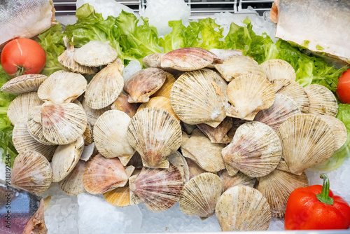 Fresh scallops. Seafood cou...