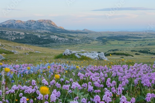 Purple flowers bloom in a grassy field, with rocky mountains and a valley in the distance. AI generative. .