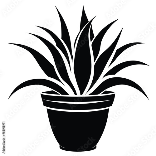 Alovera plant vector silhouette