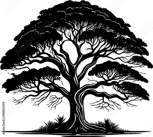 tree silhouette black color