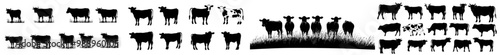 This cow silhouette is perfect for agriculture, dairy products, farm-themed designs, and livestock management or sustainability.