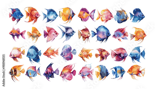 Coral fish watercolor vector set. Lionfish royal angel anthias butterfly long fins ocean marine decorative aquarium tiny underwater sea life animals, isolated illustrations on white background