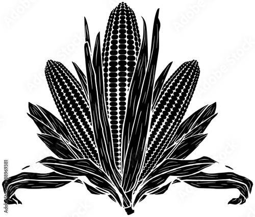 vegetable illustration food silhouette agriculture logo seed icon corn outline maize harvest nature sweet healthy grain natural fresh farm shape to vector graphic background