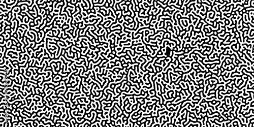 Turing reaction diffusion monochrome seamless pattern with chaotic motion .Linear design with biological shapes. Organic lines in memphis. abstract turing organic wallpaper background .	