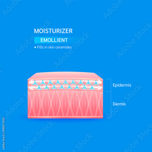 Moisturizer emollient. Fills in skin ceramides helps keep skin moisture youthful. Collagen solution and hyaluronic acid serum. For cosmetic advertising medical beauty. Vector EPS10.