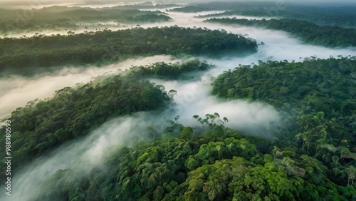 Aerial view of a vast tropical rainforest, showcasing an endless sea of green, with rivers snaking through the dense vegetation, mist hovering over the treetops at dawn.