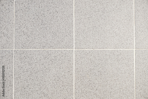 close-up image showcasing a section of a tiled wall or floor. The tiles are large, square, and light gray in color with a speckled pattern throughout, reminiscent of terrazzo. Thin, white grout lines  photo