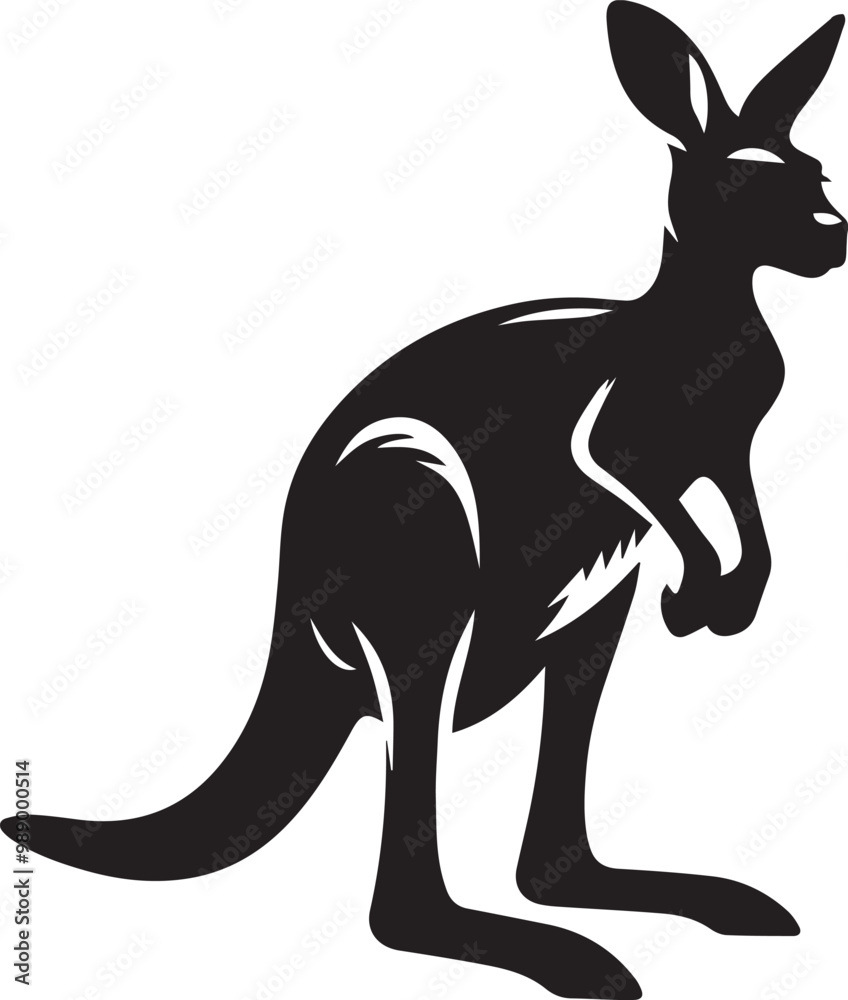 kangaroo illustration kangaroo illustration