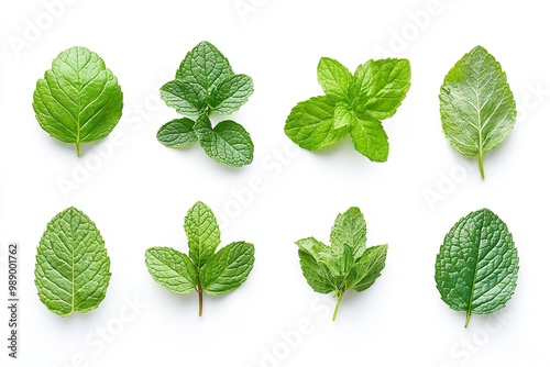 Isolated mint leaves set on a white backdrop. Generative Ai