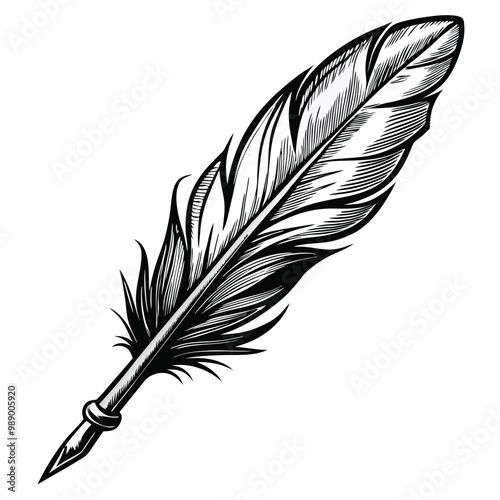 Majestic feather vector silhouette