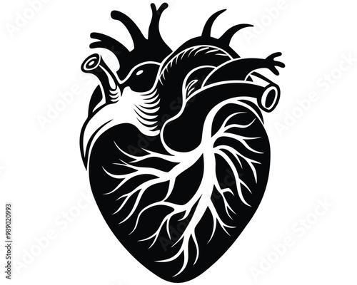 Human heart vector silhouette 