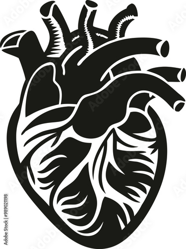 Human heart vector silhouette 