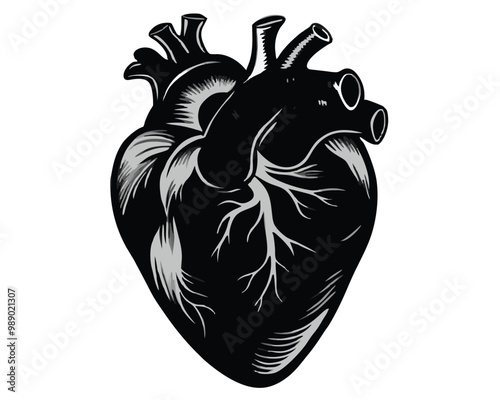 Human heart vector silhouette 