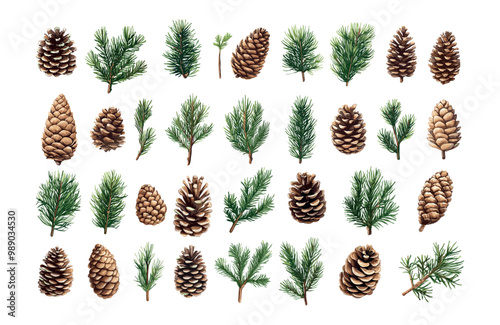 Pine cones branches cartoon vector set. Timber fir seeds wooden shell green needles tree christmas xmas nature holiday elements symbols isolated on white background