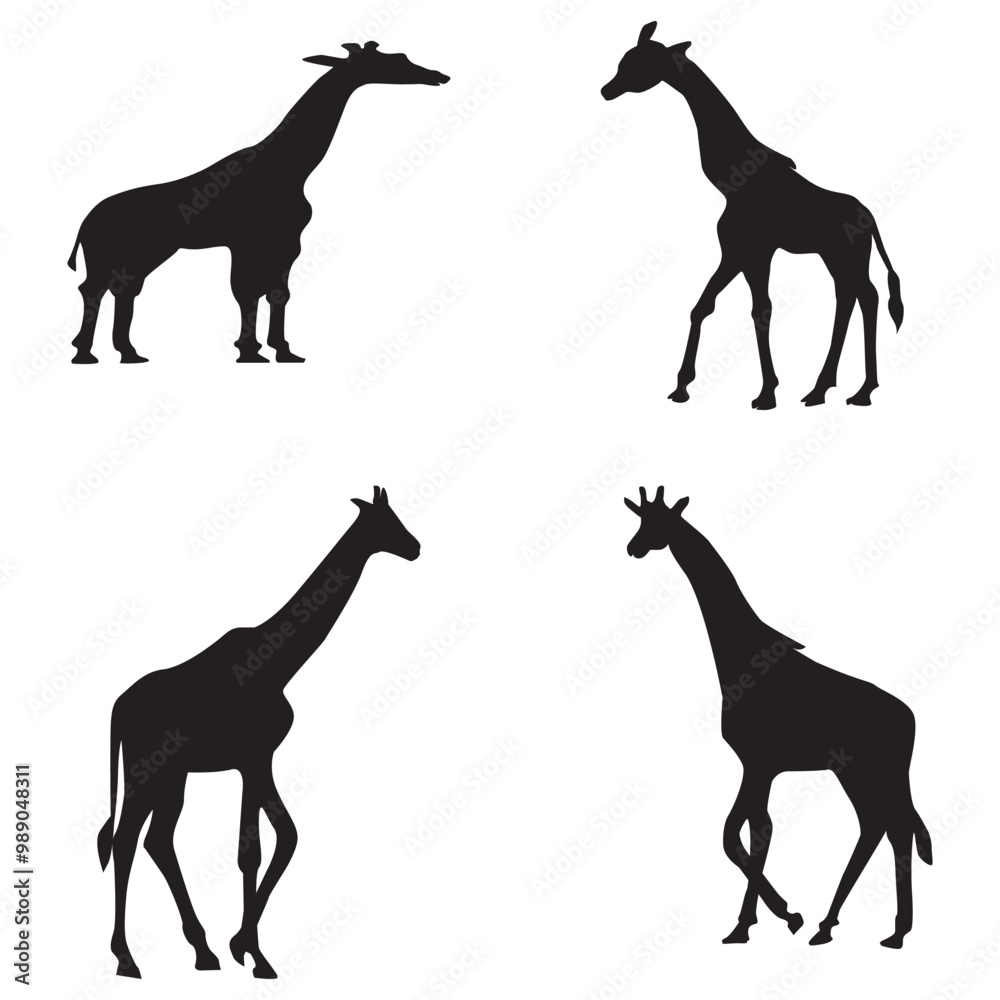 Fototapeta premium Giraffe Silhouette black color on white background