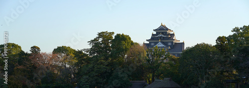 Okayama castle is the famous castle in Okayama city.