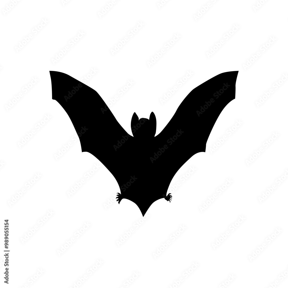 Set of bat silhouettes on white background Set of bat silhouettes on white background