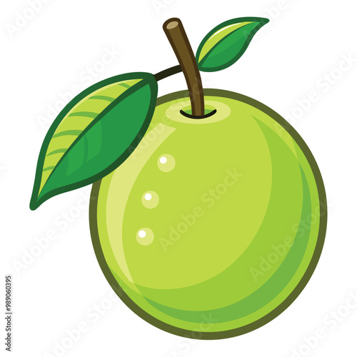 Guava illustration on white background.