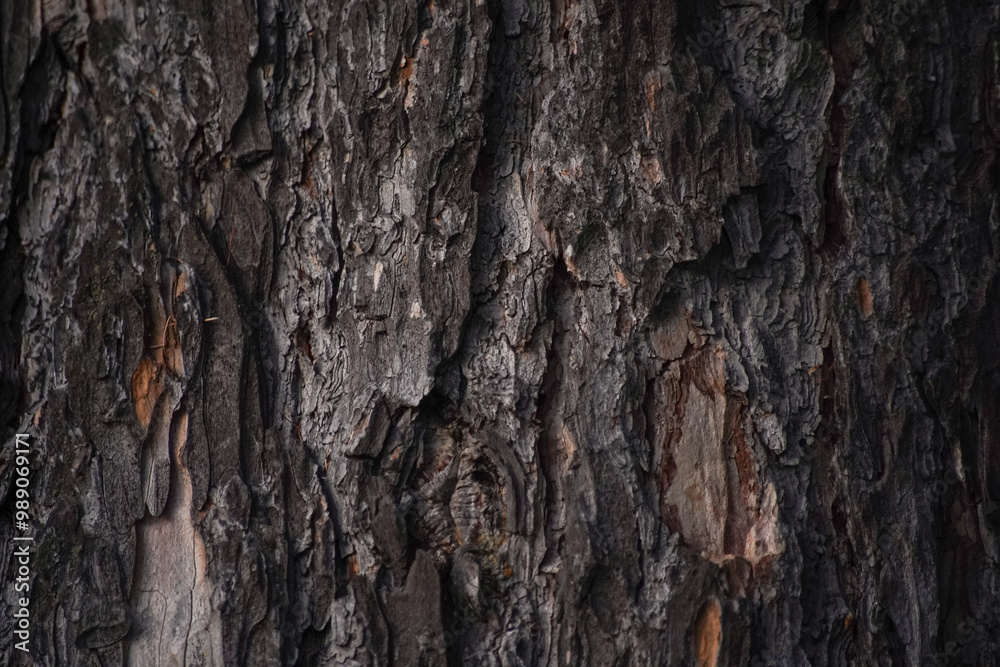 background surface pine wood pattern wallpaper background surface pine wood pattern wallpaper