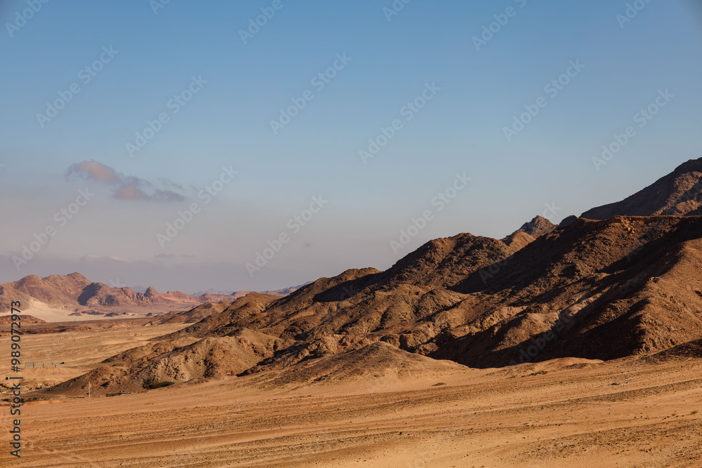 Naklejka premium Along the Newibaa Road on the Sinai Peninsula.