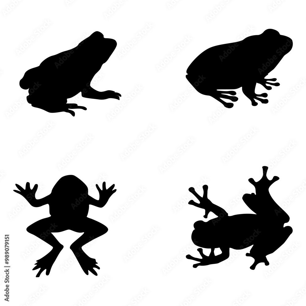 Naklejka premium frog silhouette