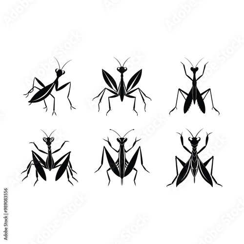 Stylish generative AI vector design of a praying mantis for unique prints