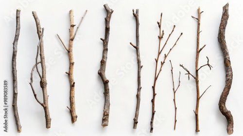 A collection of sticks in various lengths and thicknesses. The sticks are arranged in a straight line on a white background.A collection of sticks in various lengths and thicknesses. 