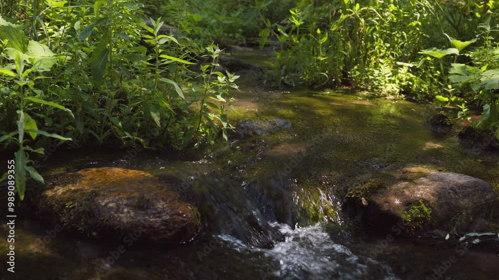 Mountain River runs at morning in slow motion Mountain River runs at morning in slow motion