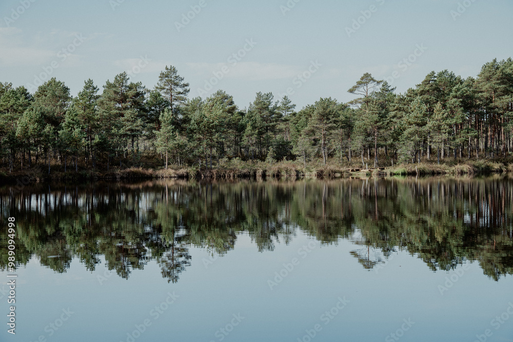 Beautiful landscape view to the lake in the forest with pine trees reflected in a clear water. View of a quiet, beautiful forest lake on a summer day. Beautiful landscape view to the lake in the forest with pine trees reflected in a clear water. View of a quiet, beautiful forest lake on a summer day.