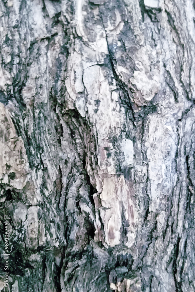 Colorful wood textura background. Minimal natural concept. Colorful wood textura background. Minimal natural concept.