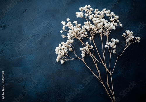 Dried Baby's Breath Flowers on Blue Background
