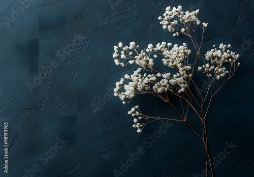 Dried Baby's Breath Flowers on Blue Background