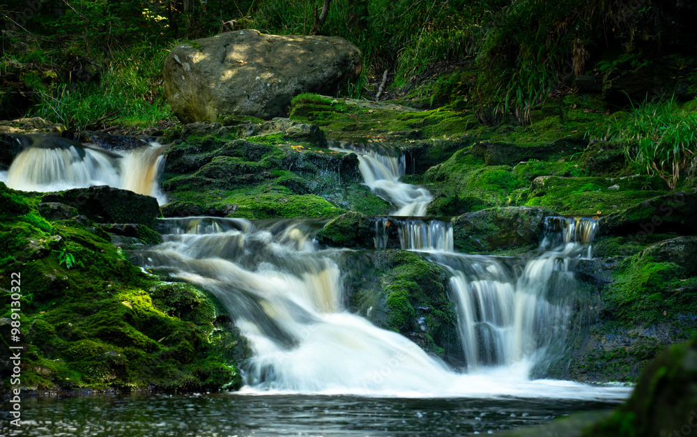 Fototapeta premium Hoegne waterfall, a small river in Belgium