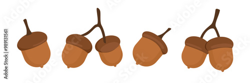 Set of acorn vector art. Acorn clip art. Brown acorn. Nuts. Squirrel food. Autumn plant. Chestnut illustration.