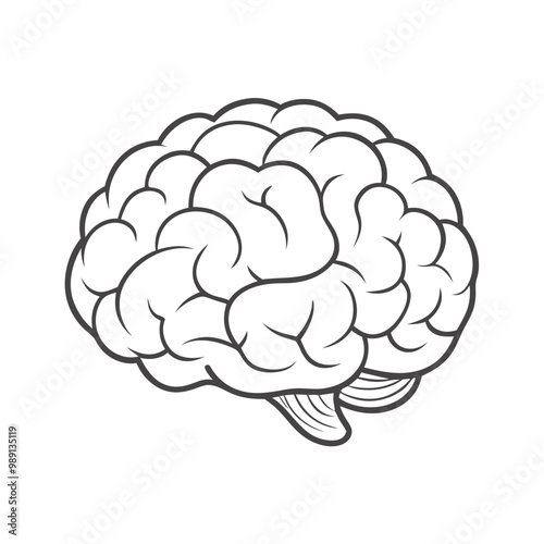 Illustration of a human brain, representing intelligence and cognitive function