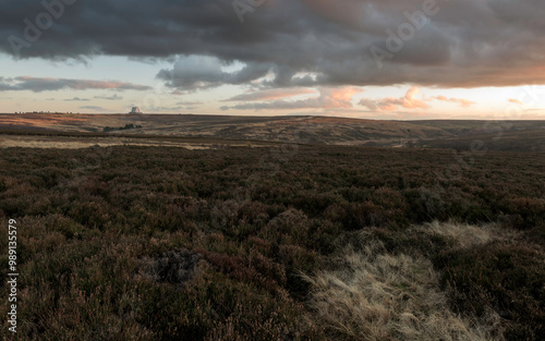 View across the North Yorkshire Moors with heather at sunset. Goathland, UK.