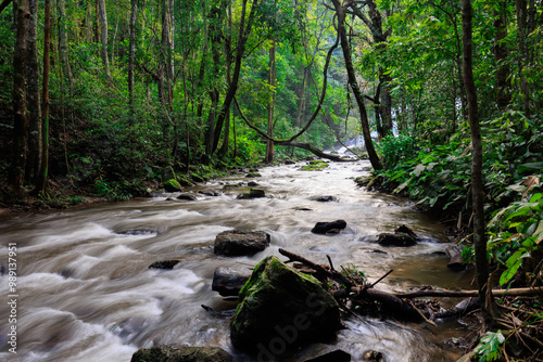 Jungle river flowing in Doi Inthanon national park, Thailand