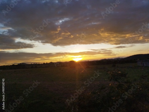 Sunset in forest