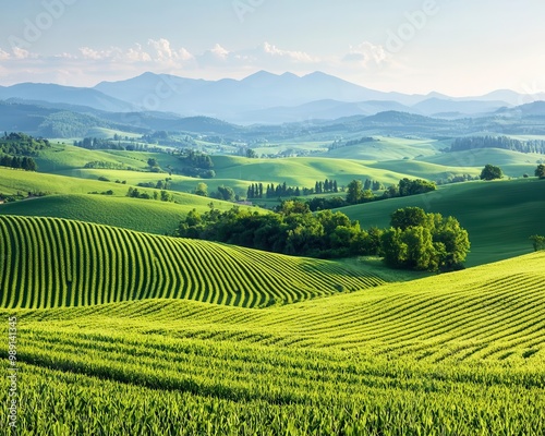 Lush green hills with a patchwork of fertile farmland, soft sunlight, serene atmosphere, photorealistic, dynamic wide-angle view