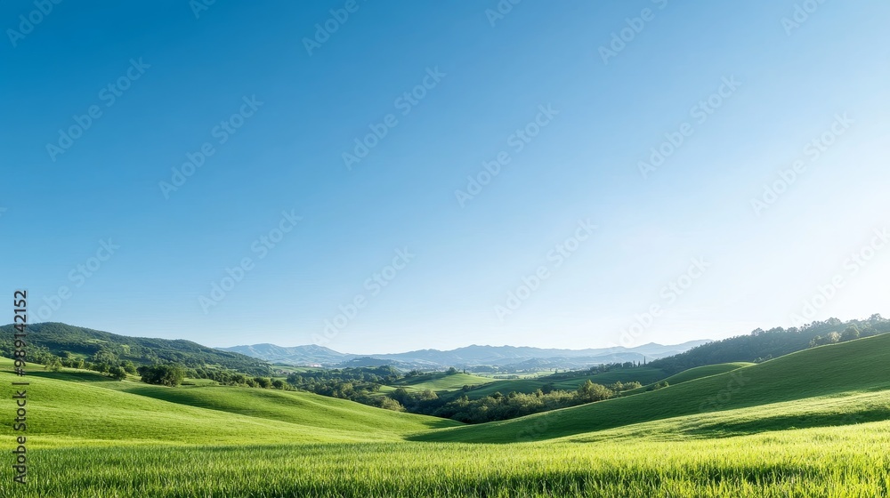 Fototapeta premium Expansive Green Fields and Rolling Hills Under a Cloudless Blue Sky