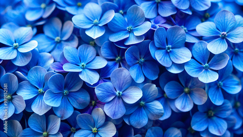 Beautiful blue flowers background