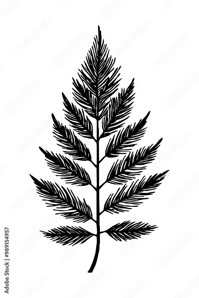 Leaves . Black and white botanical pattern. For use in graphics, materials. Abstract plant shapes. Minimalist illustration for printing on wall decorations. Leaves . Black and white botanical pattern. For use in graphics, materials. Abstract plant shapes. Minimalist illustration for printing on wall decorations.