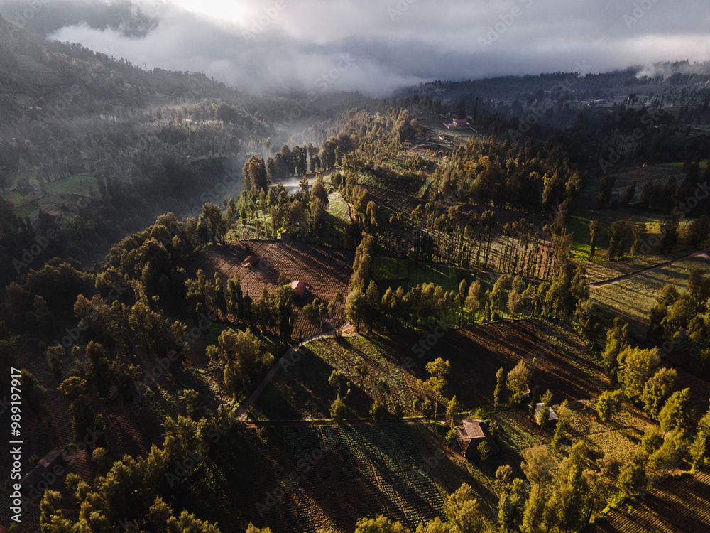 Obraz premium Aerial View of Lush Terraced Fields in the Mountains at Sunrise.