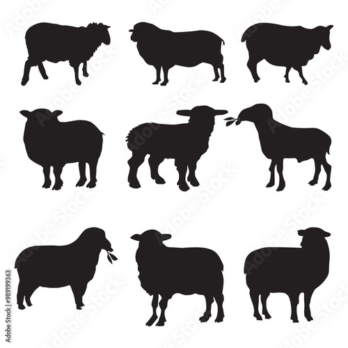 Sheep silhouette black color on white background