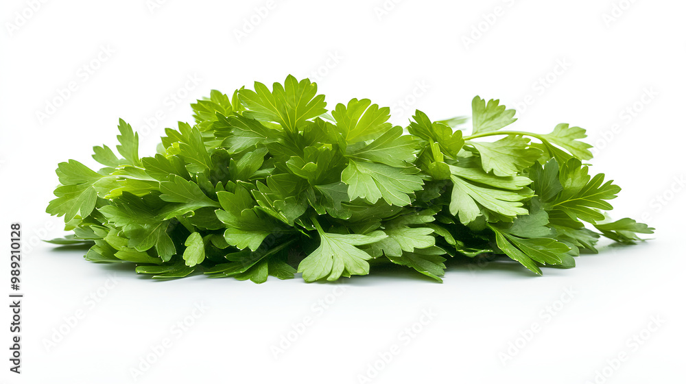 Bunch of fresh parsley on a white background. Perfect for salads, garnishes, and adding flavor to a variety of dishes. Bunch of fresh parsley on a white background. Perfect for salads, garnishes, and adding flavor to a variety of dishes.
