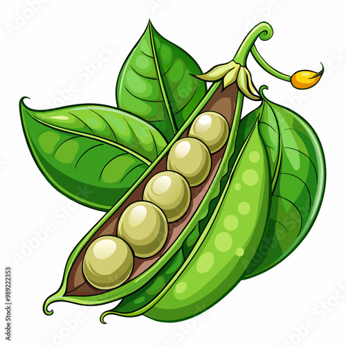 Vegetarian fresh pea vegetable isolated on white background vector illustration design art