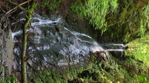 Small waterfall in the forest, Steindorf, Ossiacher See, Kaernten, Austria photo