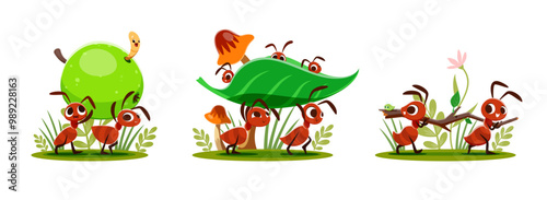 Cartoon ants animal characters carrying apple, stick and leaf. Cute insect family vector personages, brown ants colony carrying food and building materials to anthill, green grass, flowers, mushroom